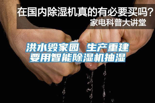 洪水毀家園 生產重建要用智能91看片网站抽濕