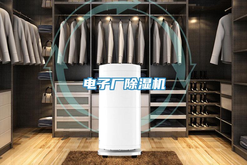 電子廠91看片网站