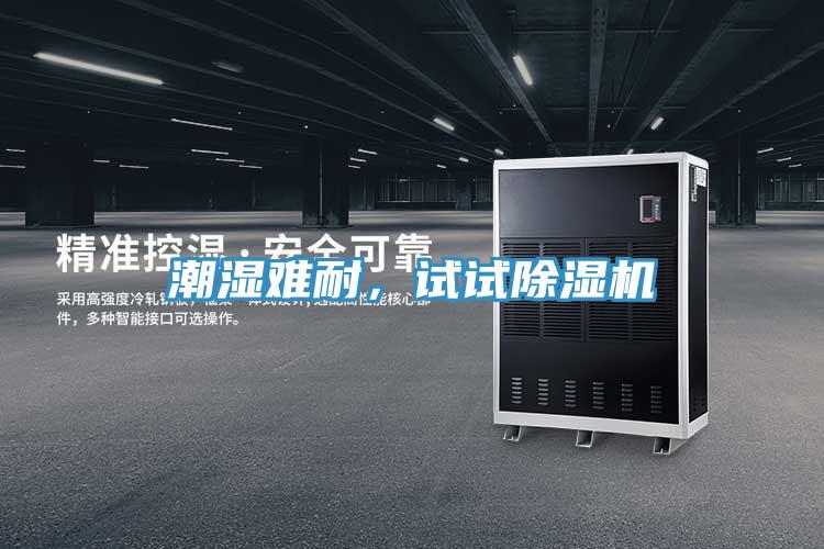 潮濕難耐，試試91看片网站