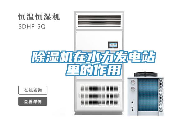 91看片网站在水力發電站裏的作用