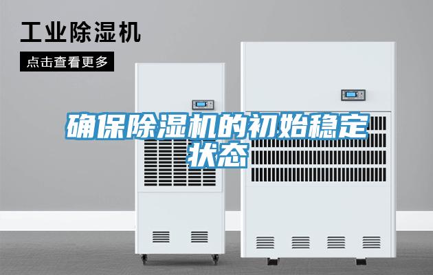 確保91看片网站的初始穩定狀態