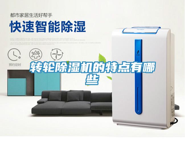 轉輪91看片网站的特點有哪些