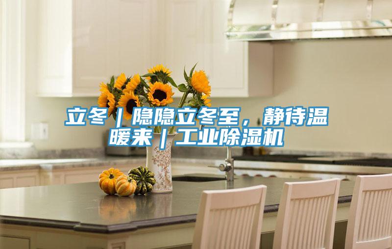 立冬｜隱隱立冬至，靜待溫暖來｜工業91看片网站