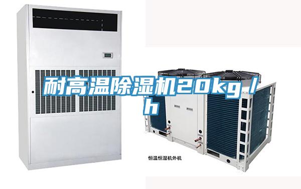 耐高溫91看片网站20kg／h