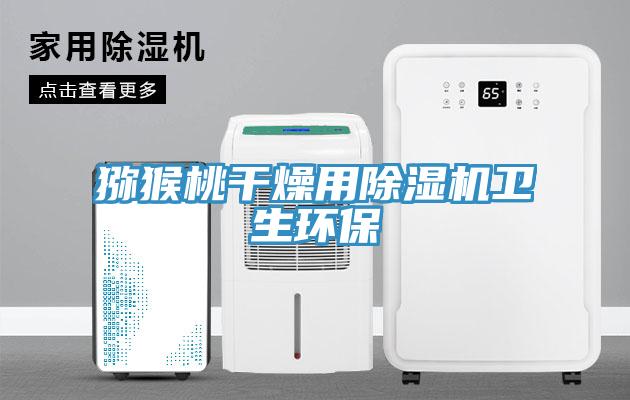 獼猴桃幹燥用91看片网站衛生環保