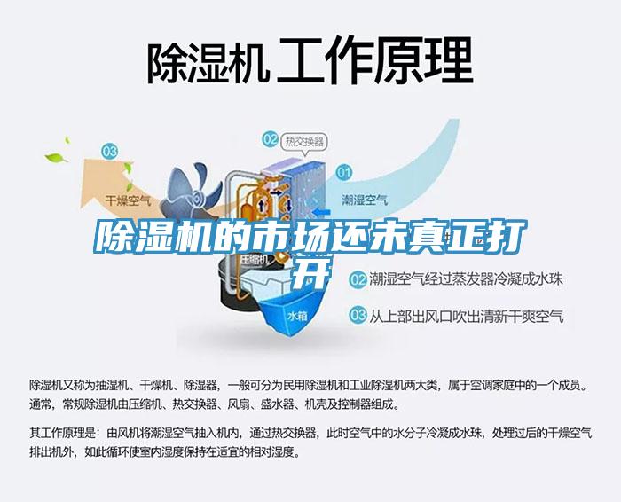 91看片网站的市場還未真正打開