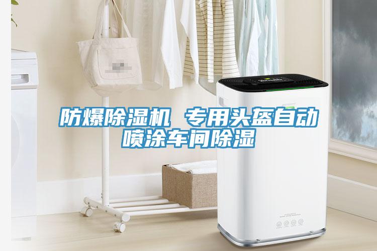 防爆91看片网站 專用頭盔自動噴塗車間除濕