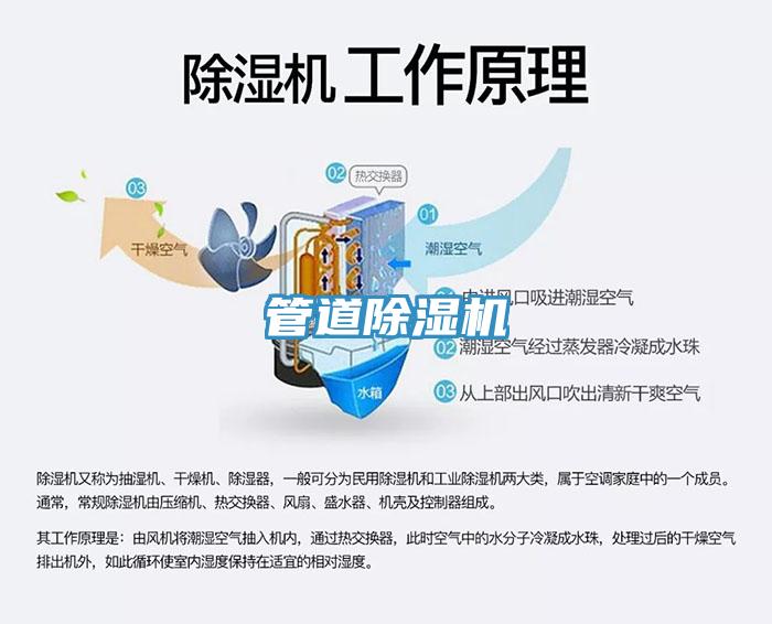 管道91看片网站