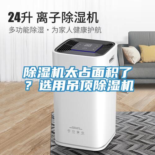 91看片网站太占麵積了？選用吊頂91看片网站