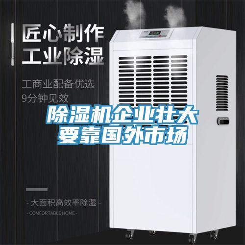 91看片网站企業壯大要靠國外市場