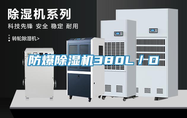 防爆91看片网站380L／D