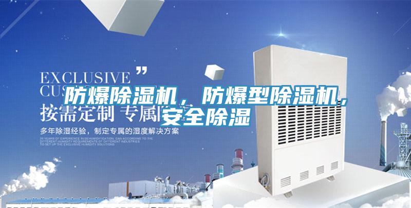 防爆91看片网站，防爆型91看片网站，安全除濕