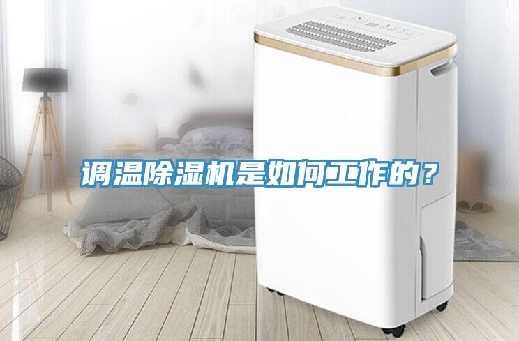 調溫91看片网站是如何工作的？