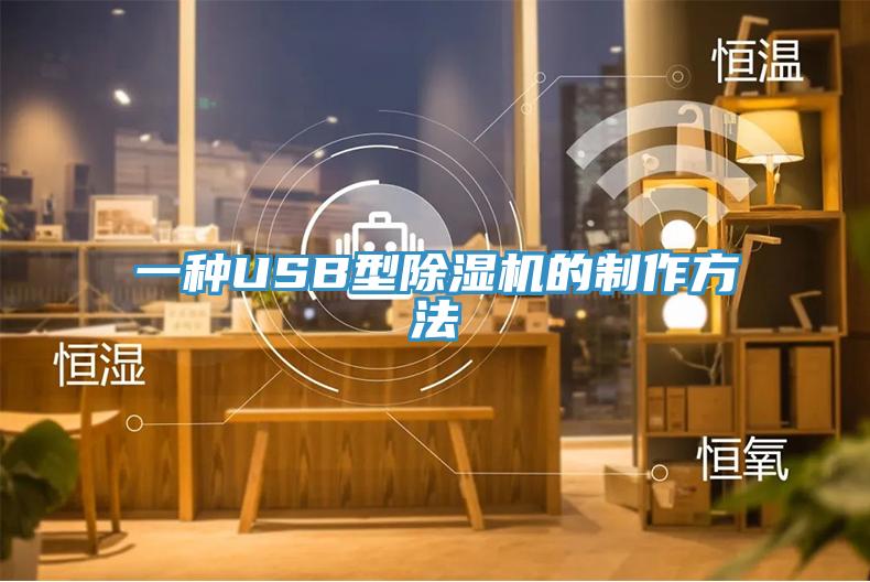 一種USB型91看片网站的製作方法