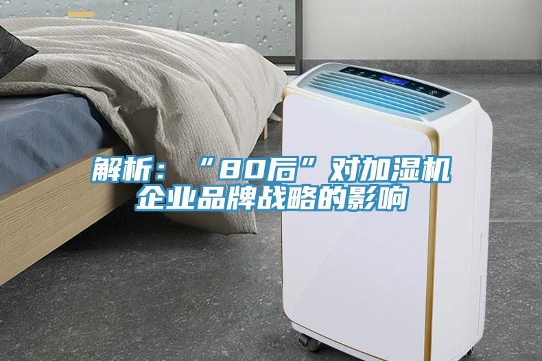 解析：“80後”對加濕機企業品牌戰略的影響