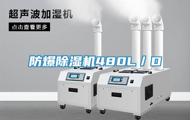 防爆91看片网站480L／D