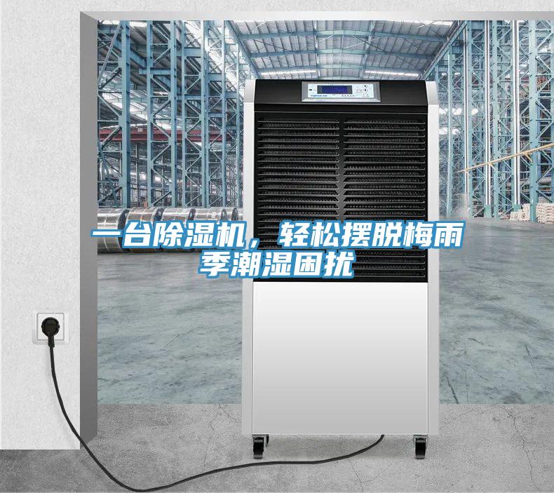 一台91看片网站，輕鬆擺脫梅雨季潮濕困擾