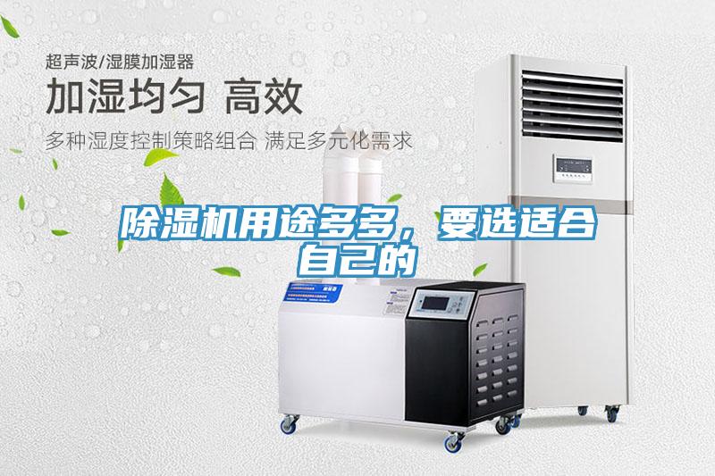 91看片网站用途多多，要選適合自己的