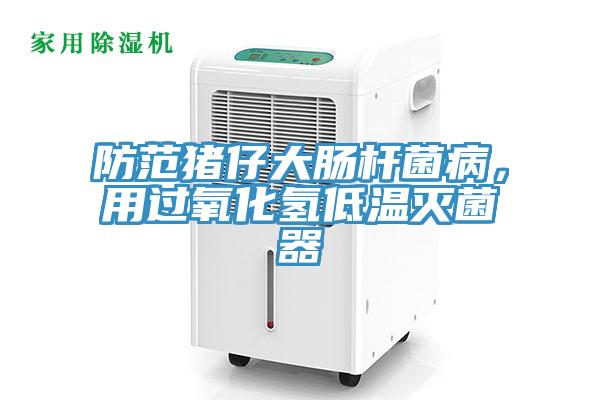 防範豬仔大腸杆菌病，用過氧化氫低溫滅菌器