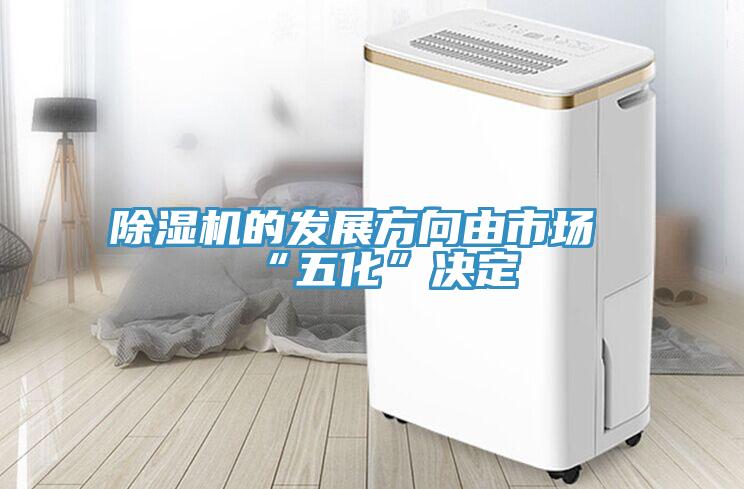 91看片网站的發展方向由市場“五化”決定