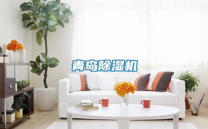 青島91看片网站