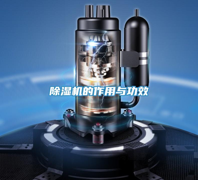 91看片网站的作用與功效