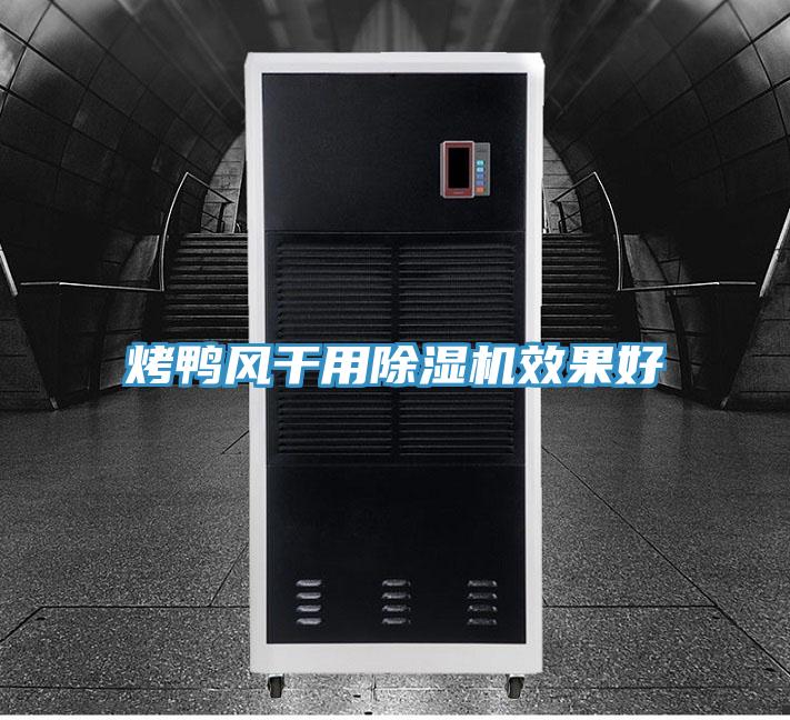 烤鴨風幹用91看片网站效果好