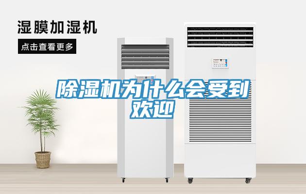 91看片网站為什麽會受到歡迎