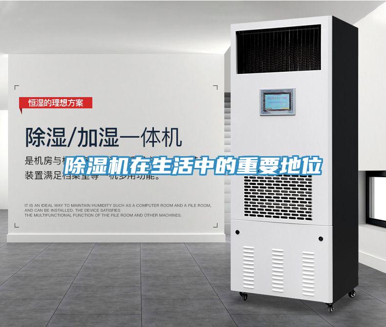 91看片网站在生活中的重要地位