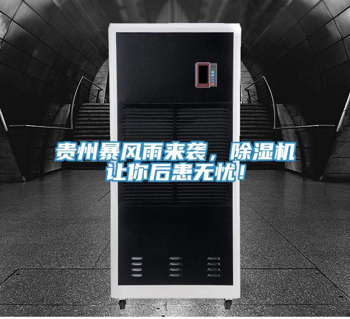 貴州暴風雨來襲，91看片网站讓你後患無憂！