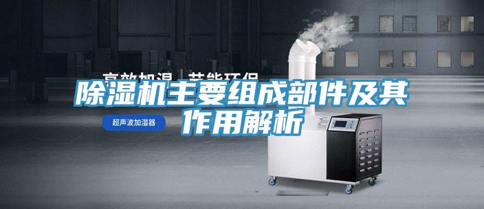 91看片网站主要組成部件及其作用解析