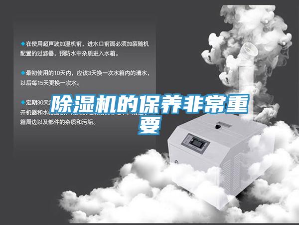 91看片网站的保養非常重要