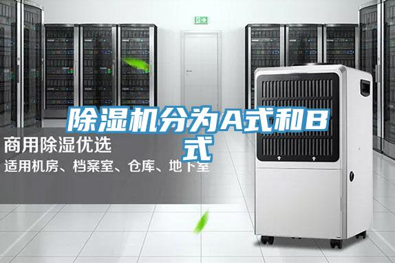 91看片网站分為A式和B式