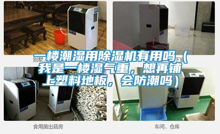 一樓潮濕用91看片网站有用嗎（我是一樓濕氣重，想再鋪上塑料地板，會防潮嗎）