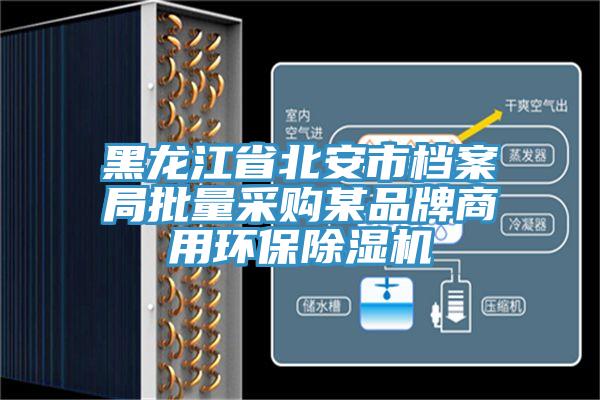 黑龍江省北安市檔案局批量采購某品牌商用環保91看片网站