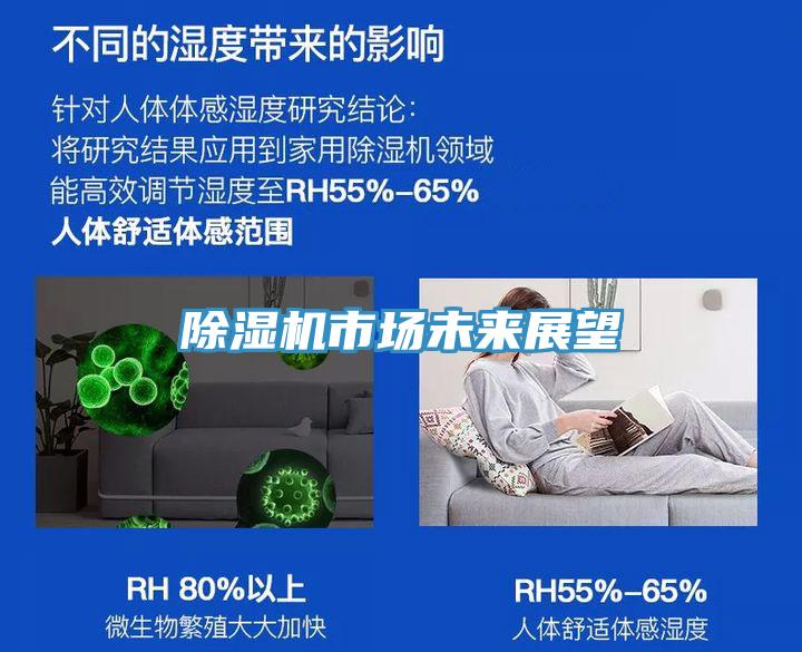 91看片网站市場未來展望