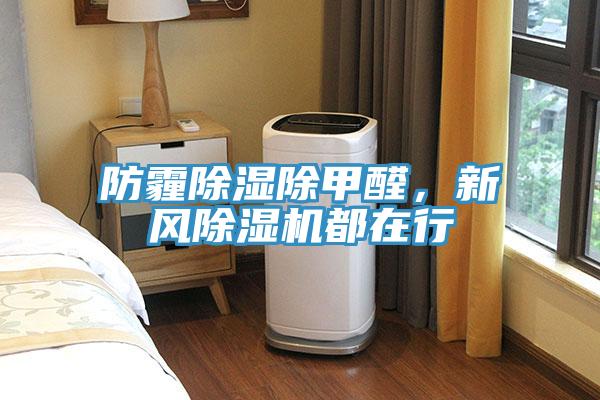 防霾除濕除甲醛，新風91看片网站都在行