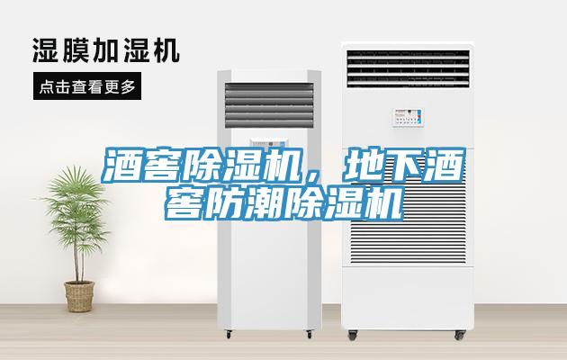 酒窖91看片网站，地下酒窖防潮91看片网站