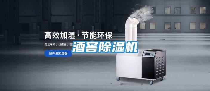 酒窖91看片网站