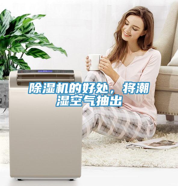 91看片网站的好處，將潮濕空氣抽出