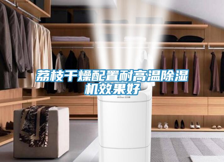 荔枝幹燥配置耐高溫91看片网站效果好
