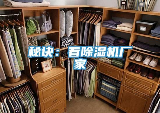 秘訣：看91看片网站廠家