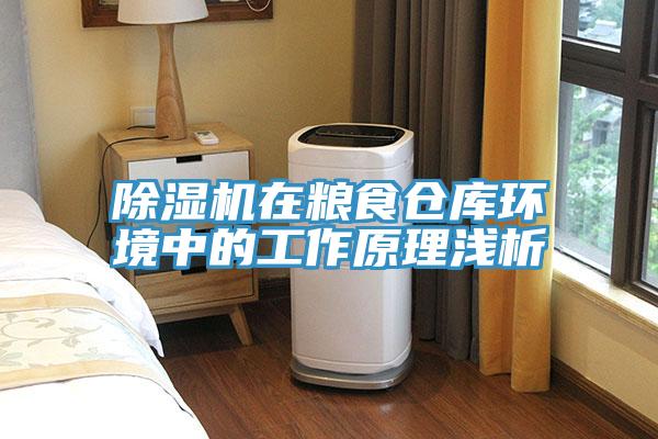 91看片网站在糧食倉庫環境中的工作原理淺析