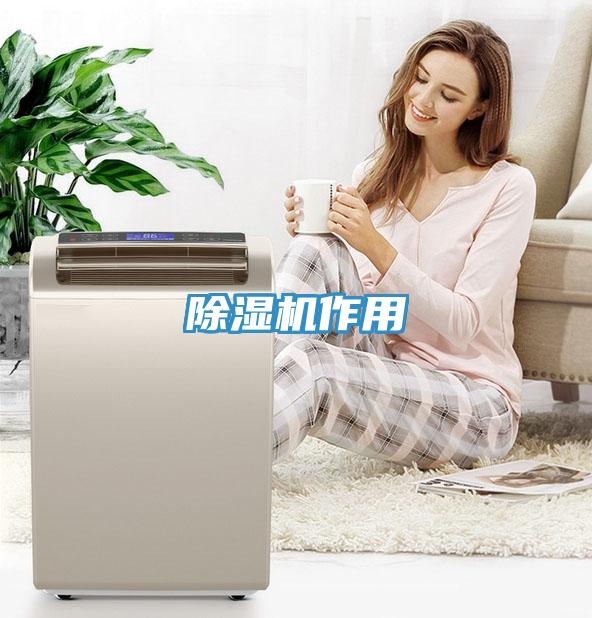 91看片网站作用