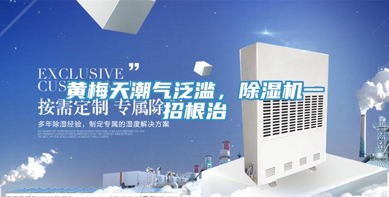黃梅天潮氣泛濫，91看片网站一招根治