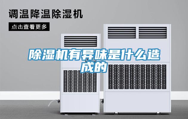 91看片网站有異味是什麽造成的