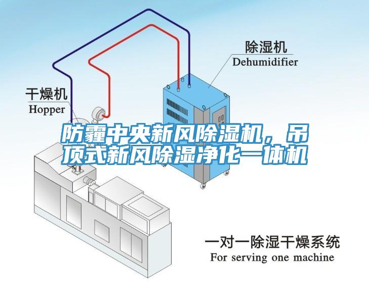 防霾中央新風91看片网站，吊頂式新風除濕淨化一體機