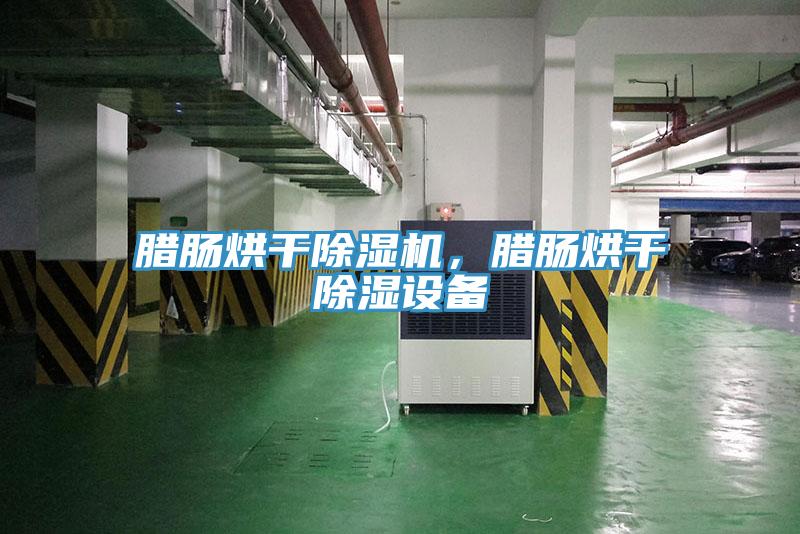 臘腸烘幹91看片网站，臘腸烘幹除濕設備
