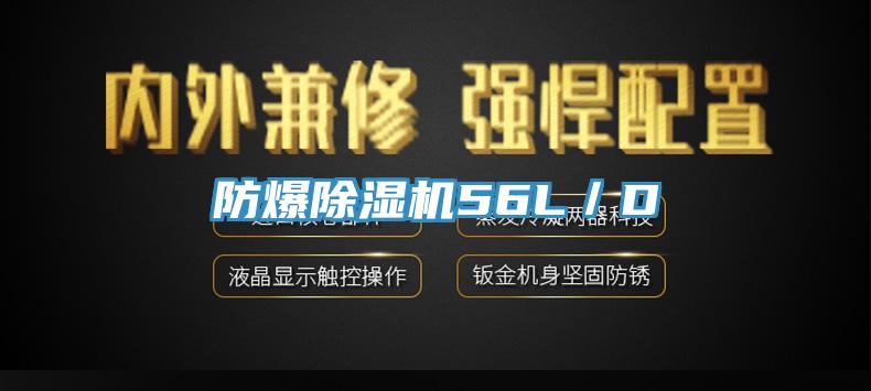防爆91看片网站56L／D