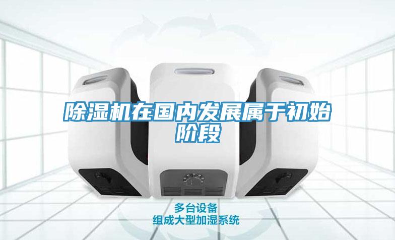 91看片网站在國內發展屬於初始階段